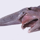 Image for article titled 12 More Real Animals We Can’t Believe Aren't Pokémon